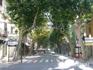 Marques de campo - Denia