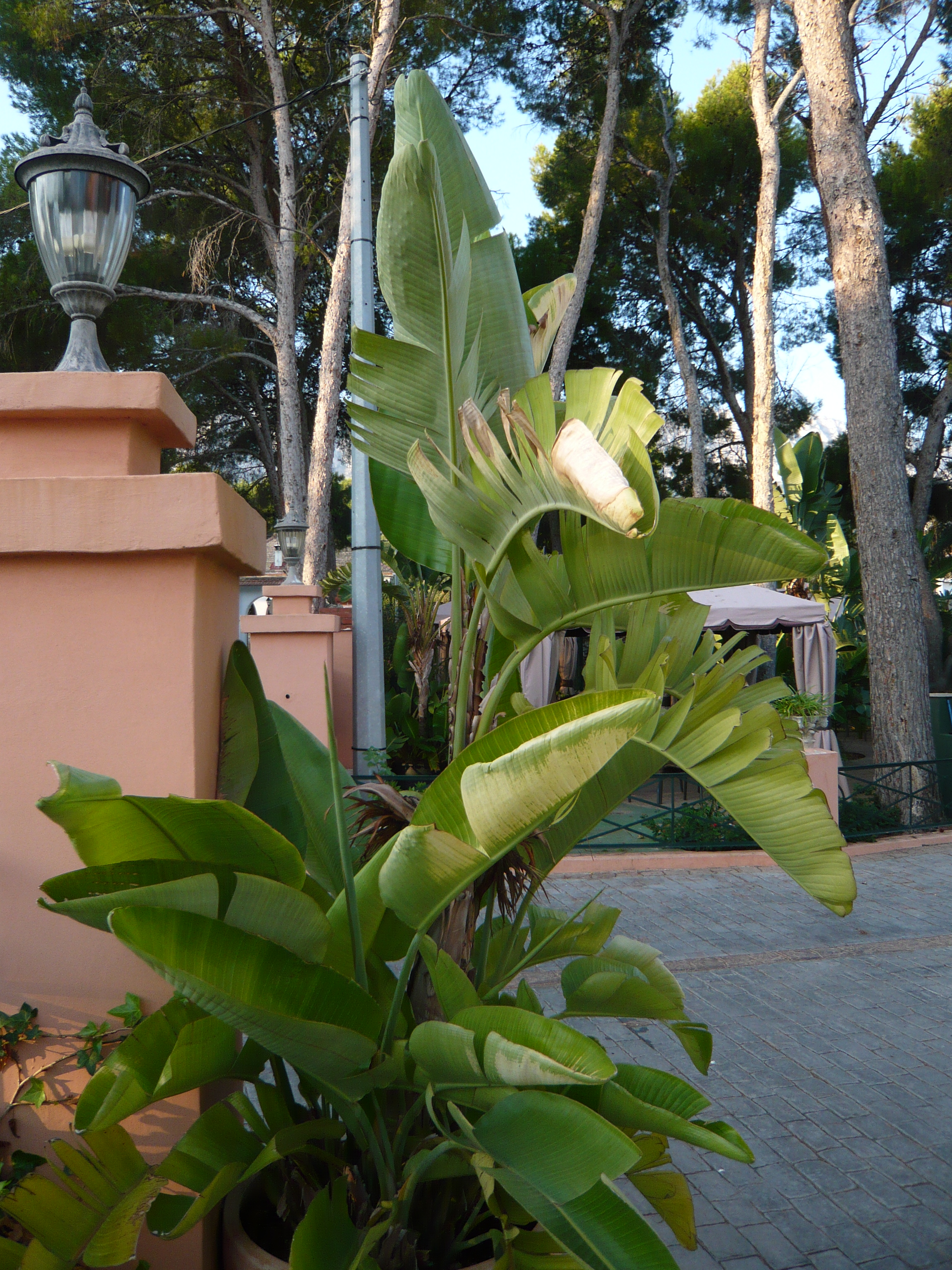 vakantie Denia september 2012 Hotel Palau Verd