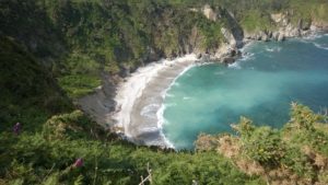 10603917_269677536556492_6464091016854486685_o