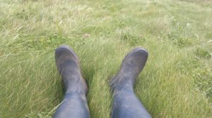 472411_133542640169983_1764088235_o